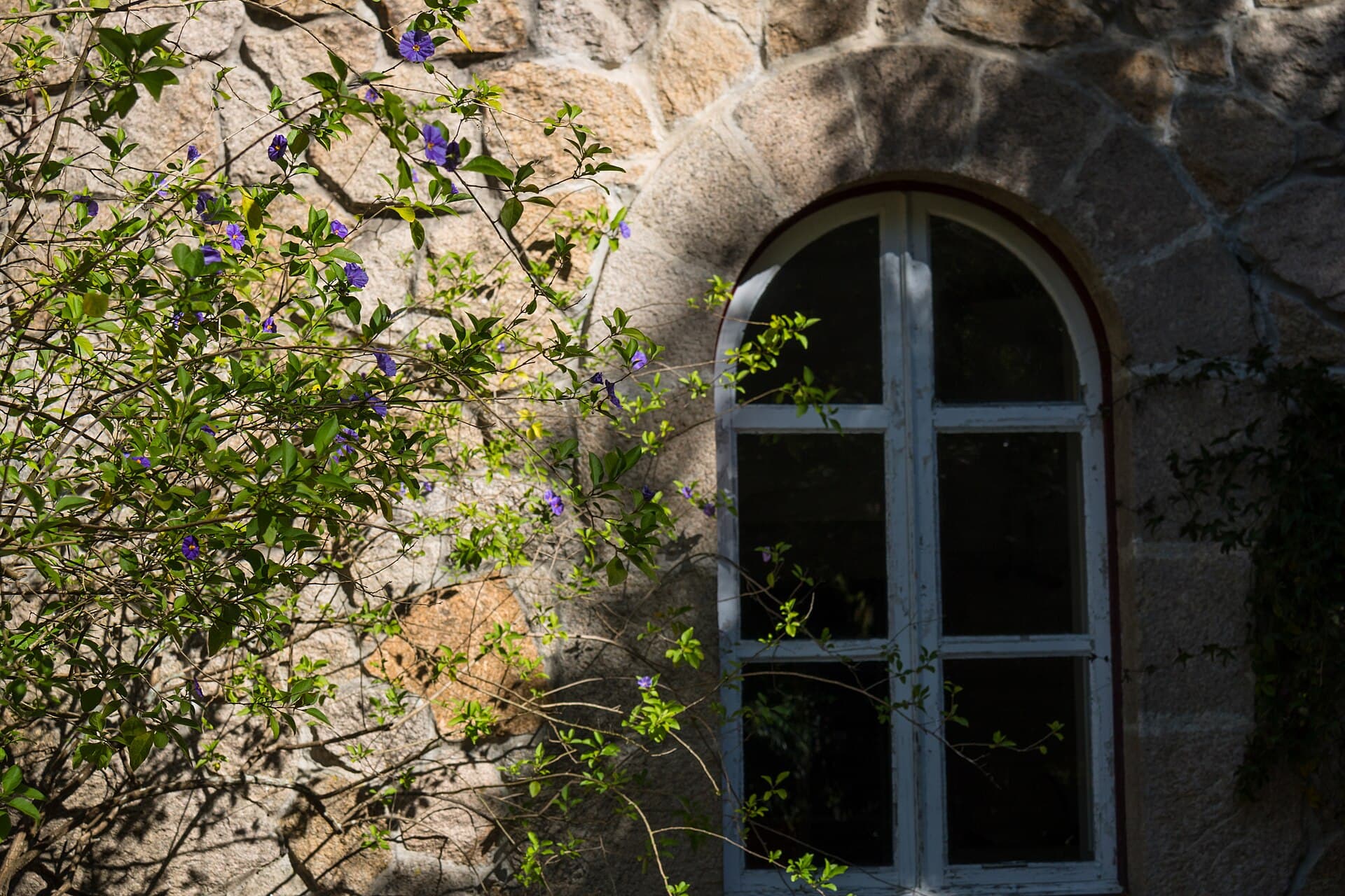 Quinta da Regaleira & the Initiation Well, Sintra