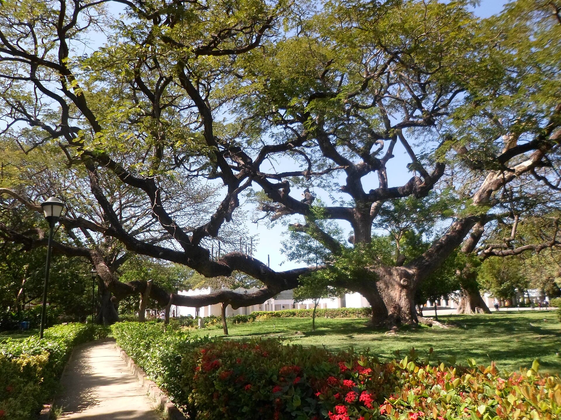 Quinta de San Pedro Alejandrino