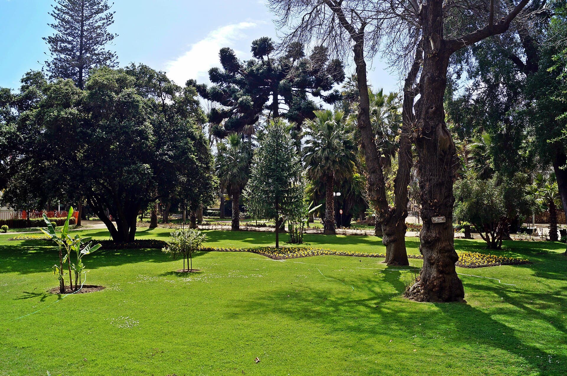 Quinta Vergara park