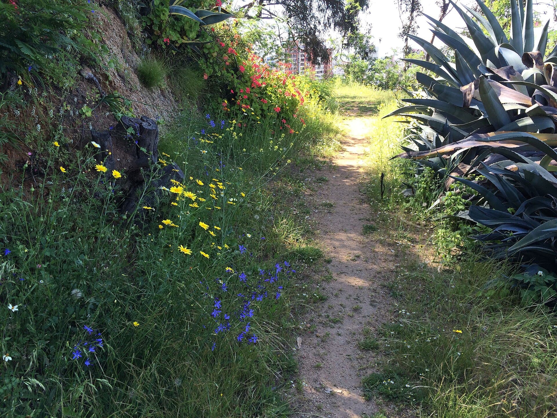 Quinta Vergara park