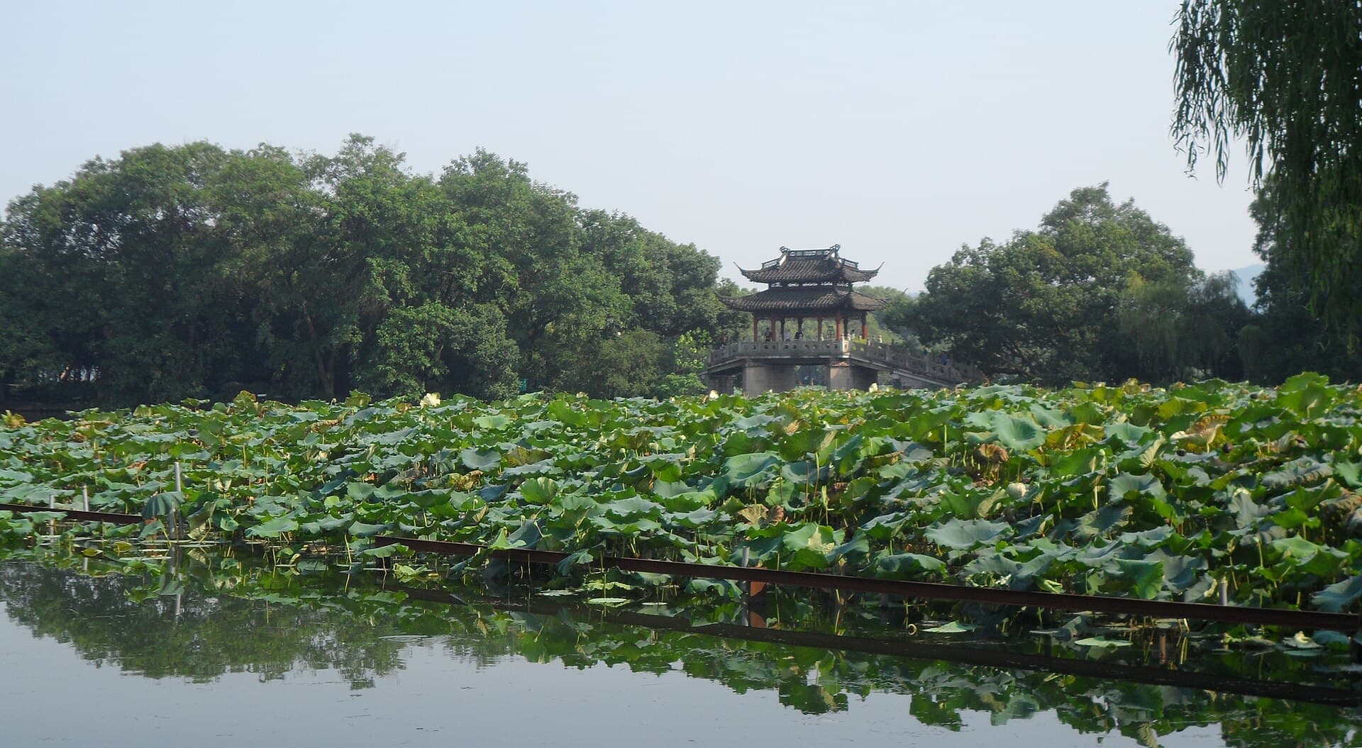 Quyuan Fenghe (Lotus in the Breeze)