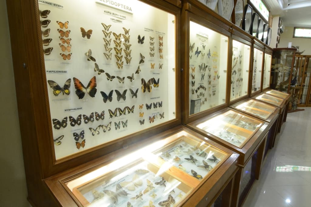Rahmat International Wildlife Museum, Medan