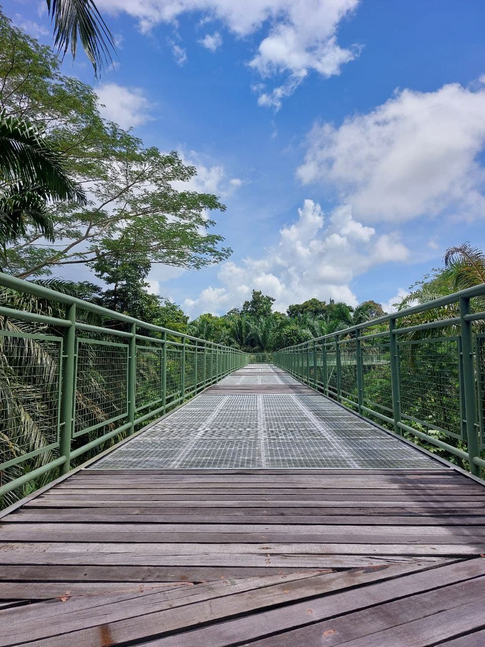 Rainforest Discovery Centre, Sepilok