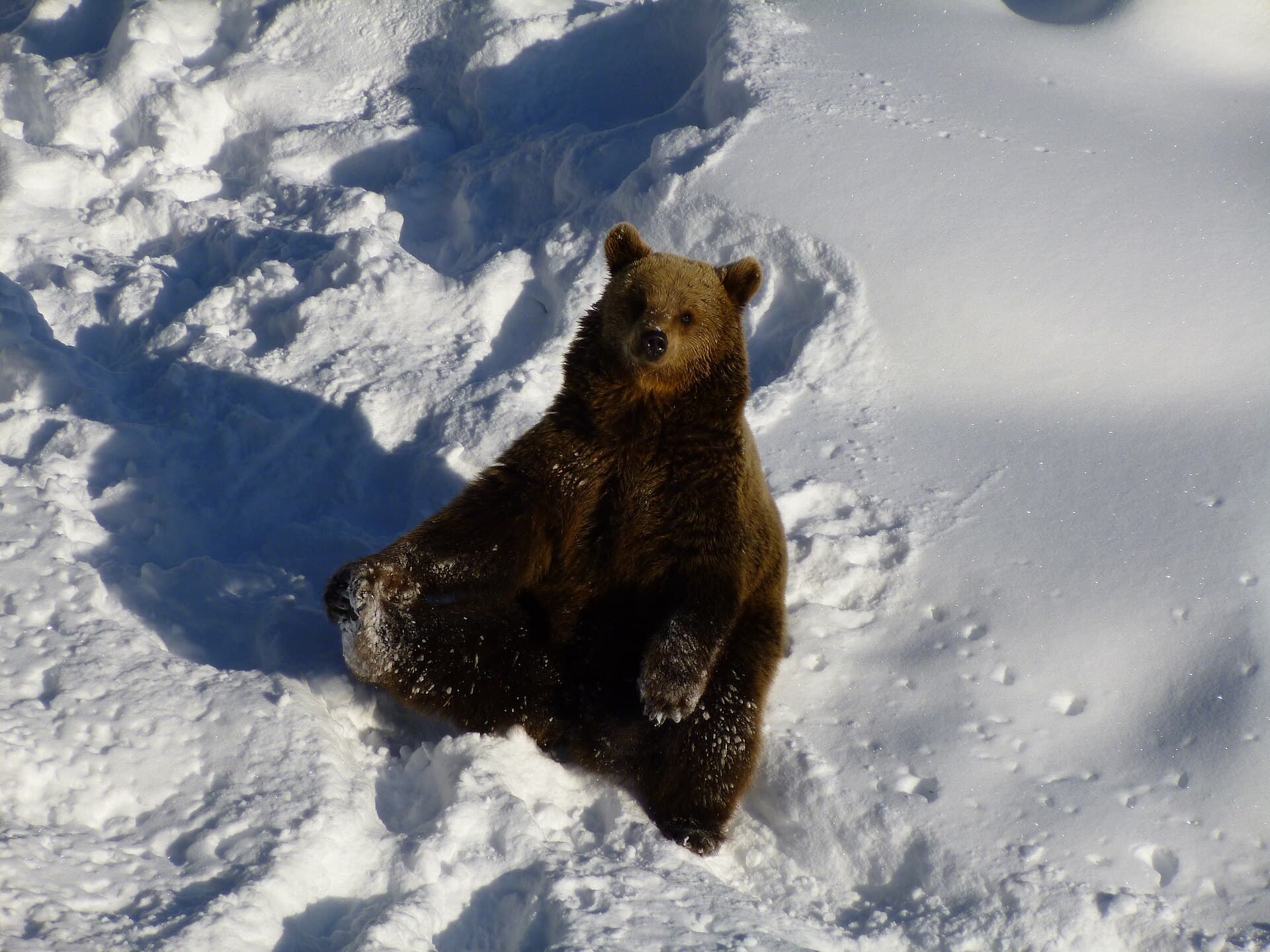 Ranua Wildlife Park, Rovaniemi
