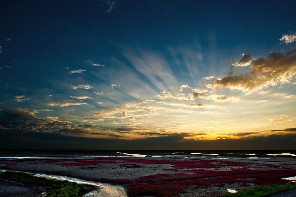 Red Beach, Panjin