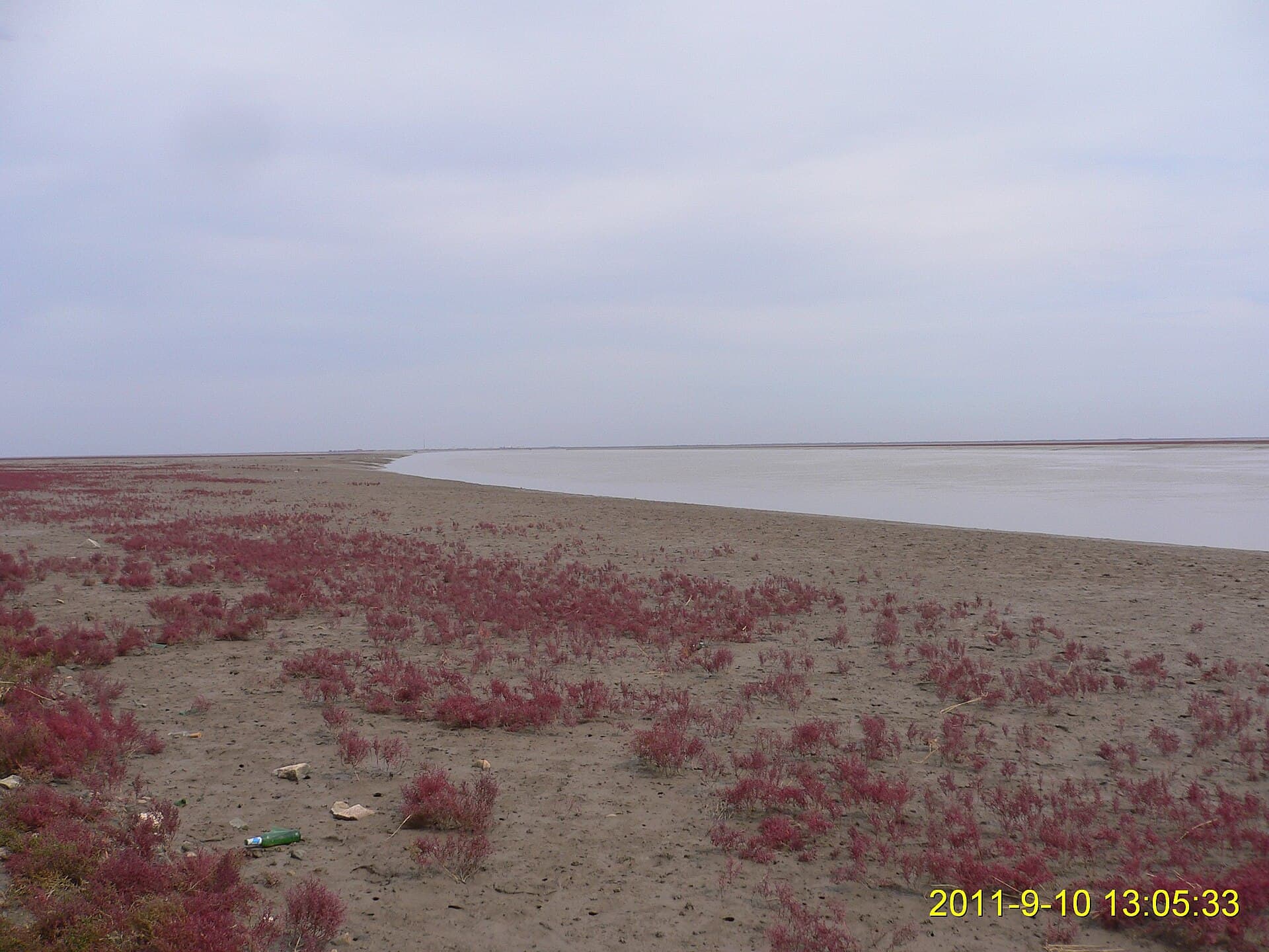 Red Beach, Panjin
