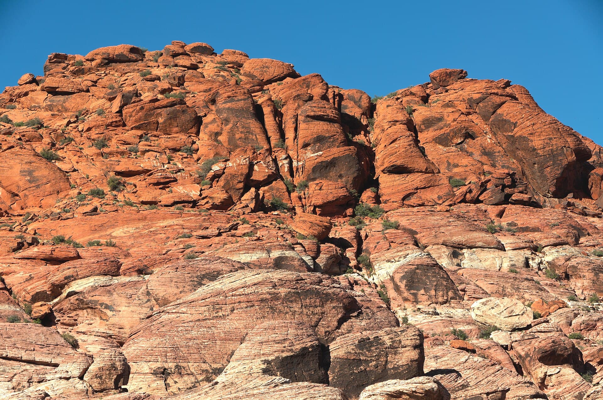 Red Rock Canyon National Conservation Area