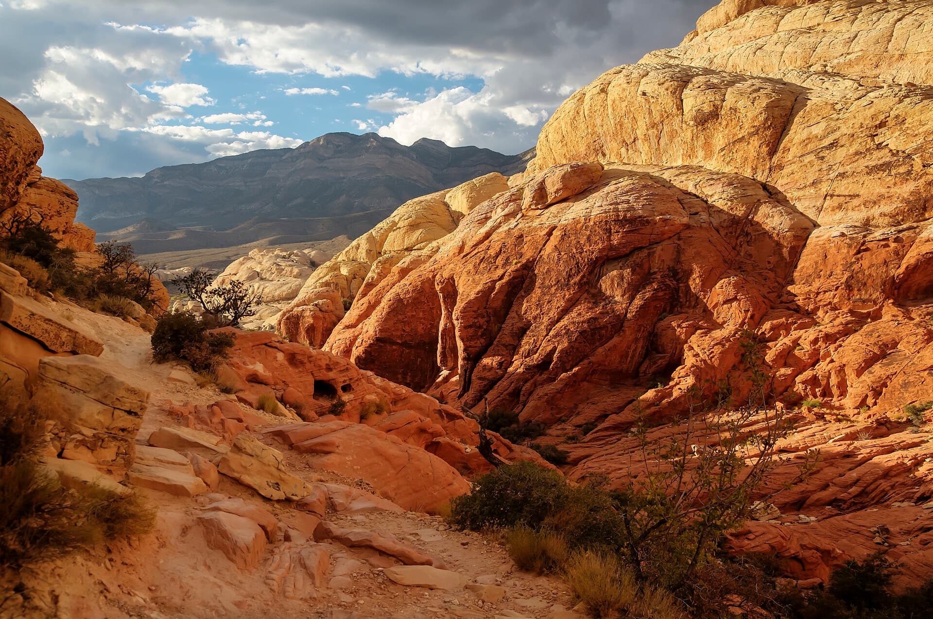 Red Rock Canyon National Conservation Area