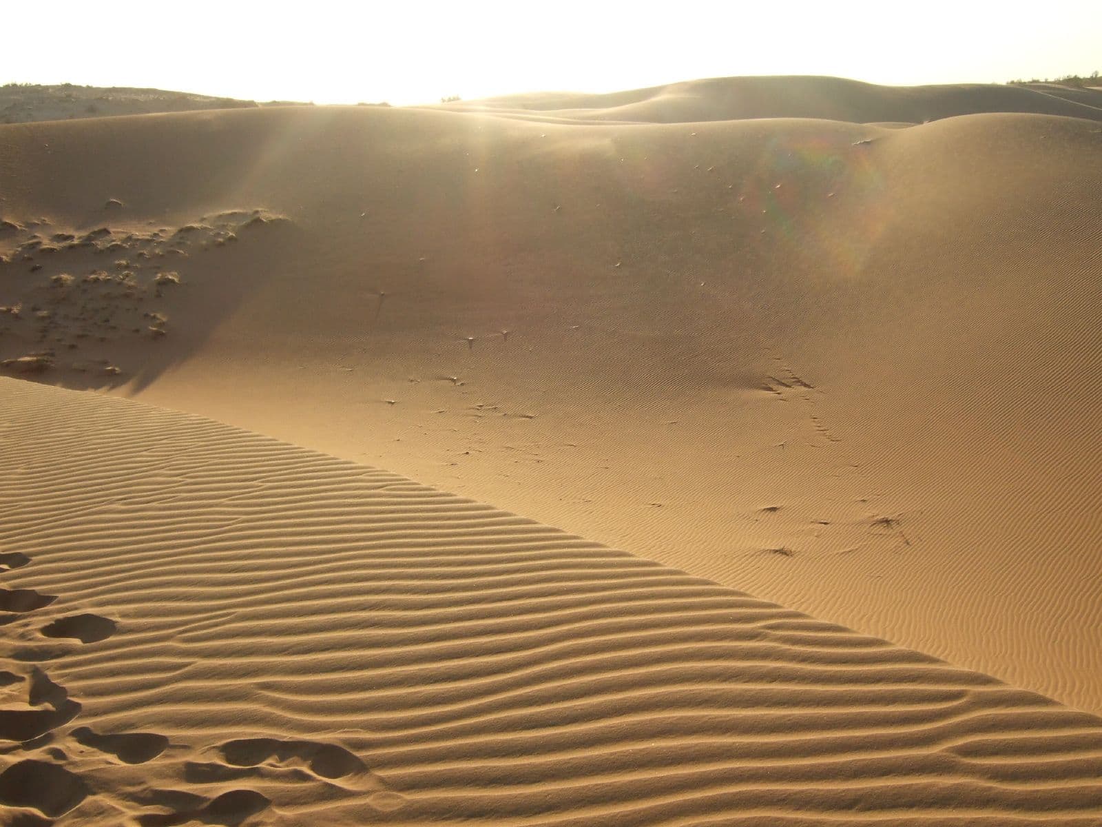 Red Sand Dunes, Mui Ne