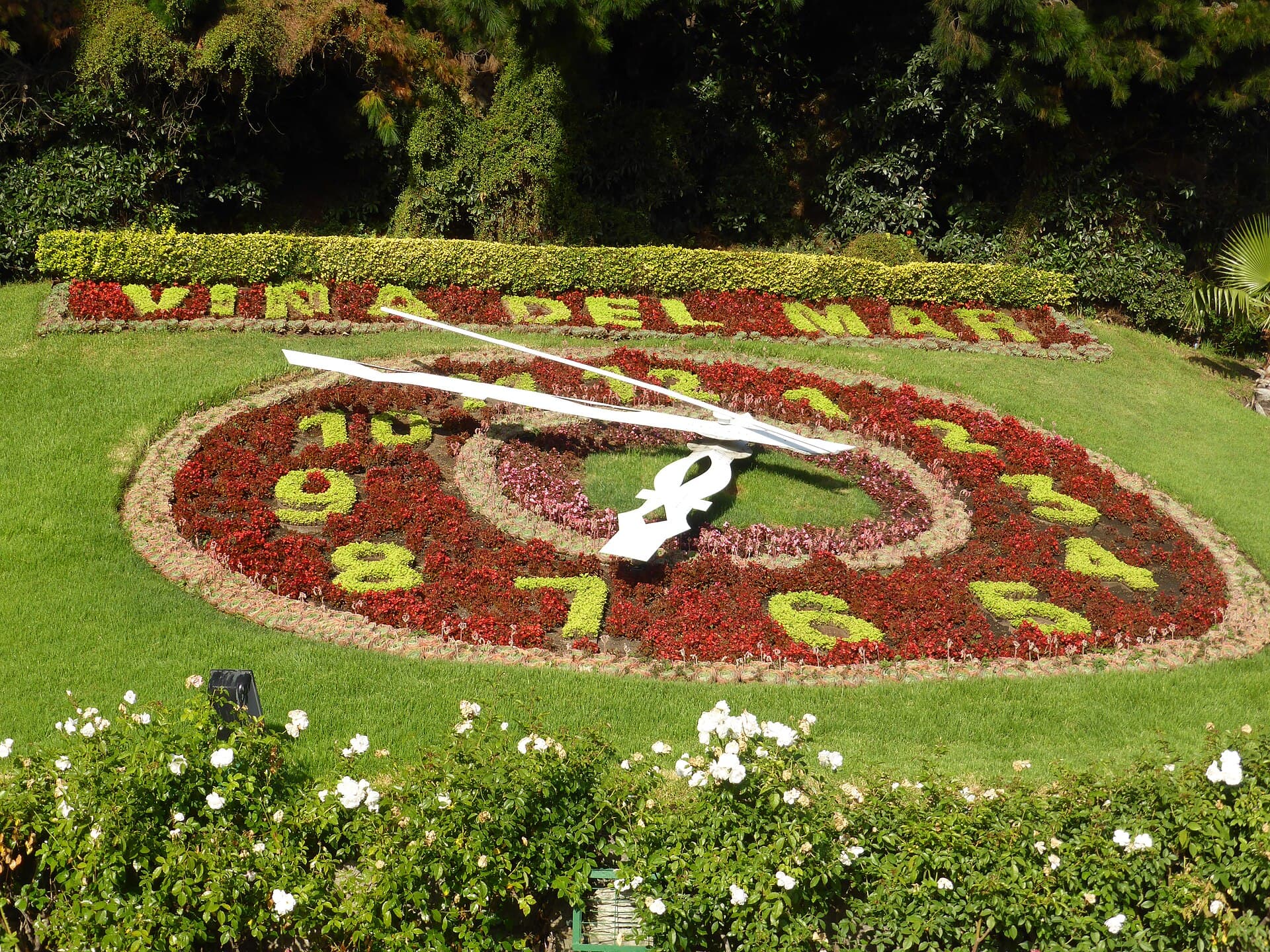 Flower Clock (Reloj de Flores)