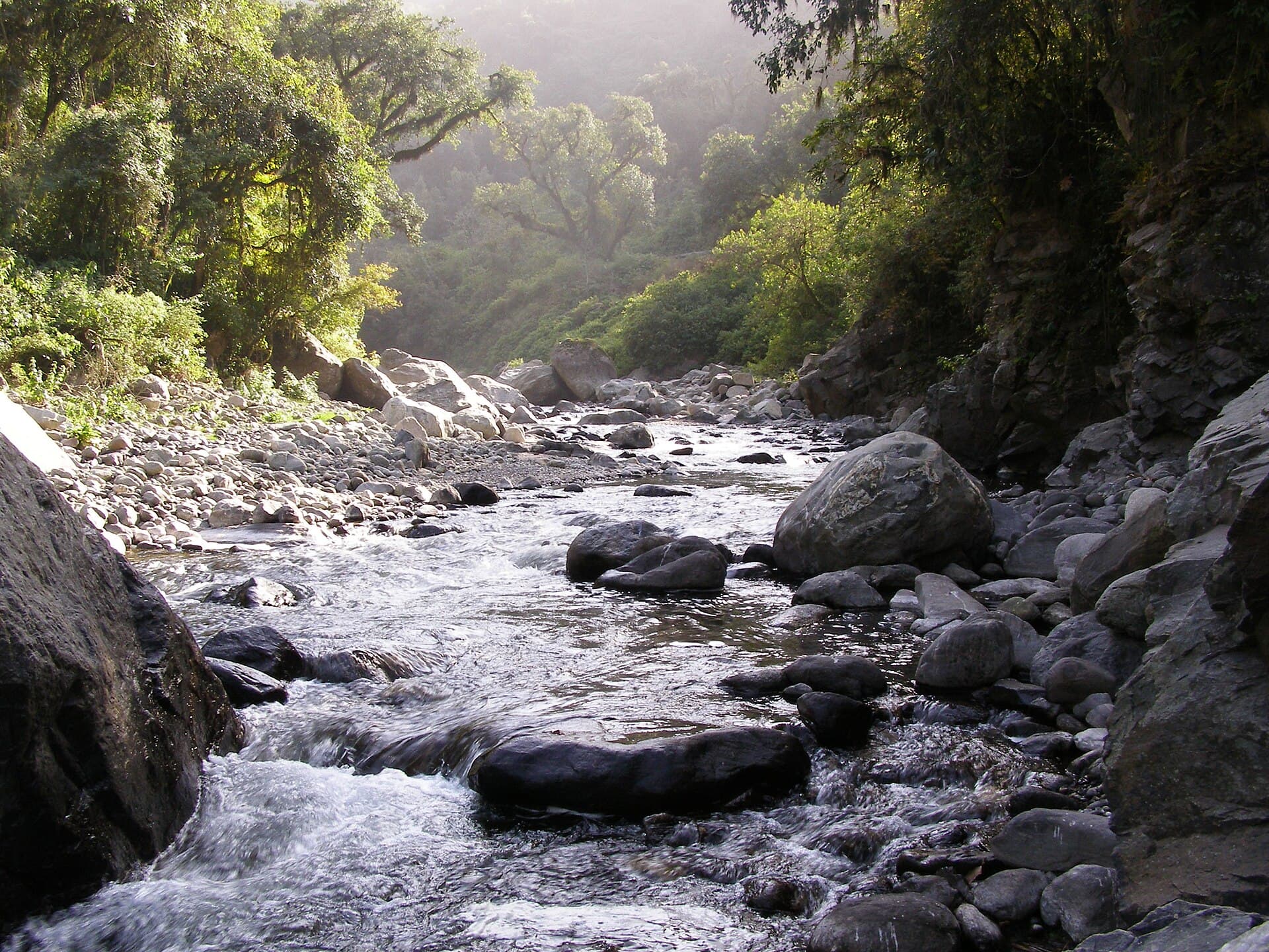 Quebrada de Los Sosa (Los Sosa Reserve), Tucumán