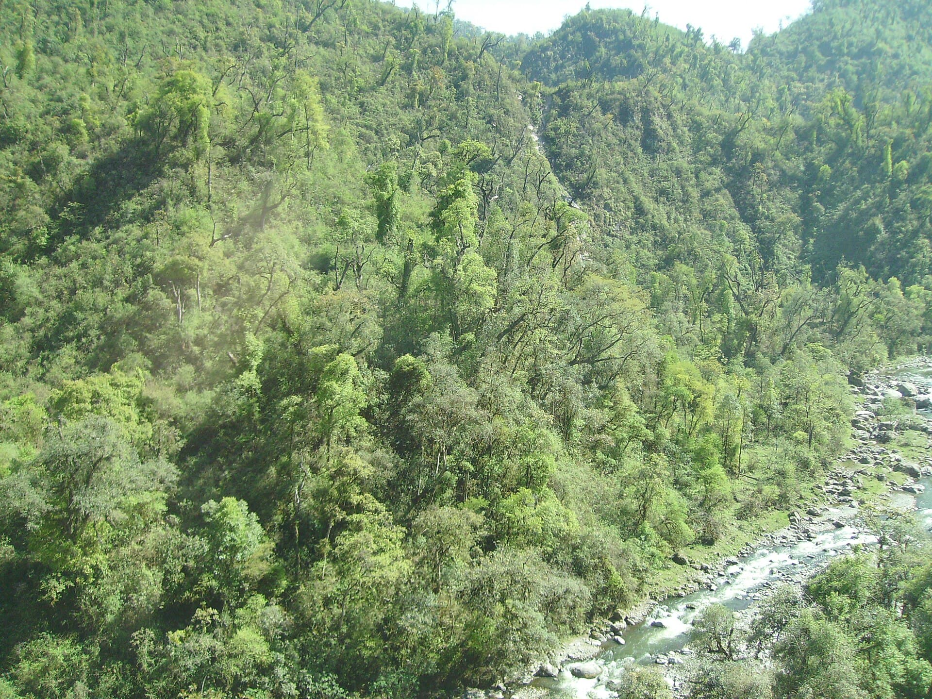Quebrada de Los Sosa (Los Sosa Reserve), Tucumán