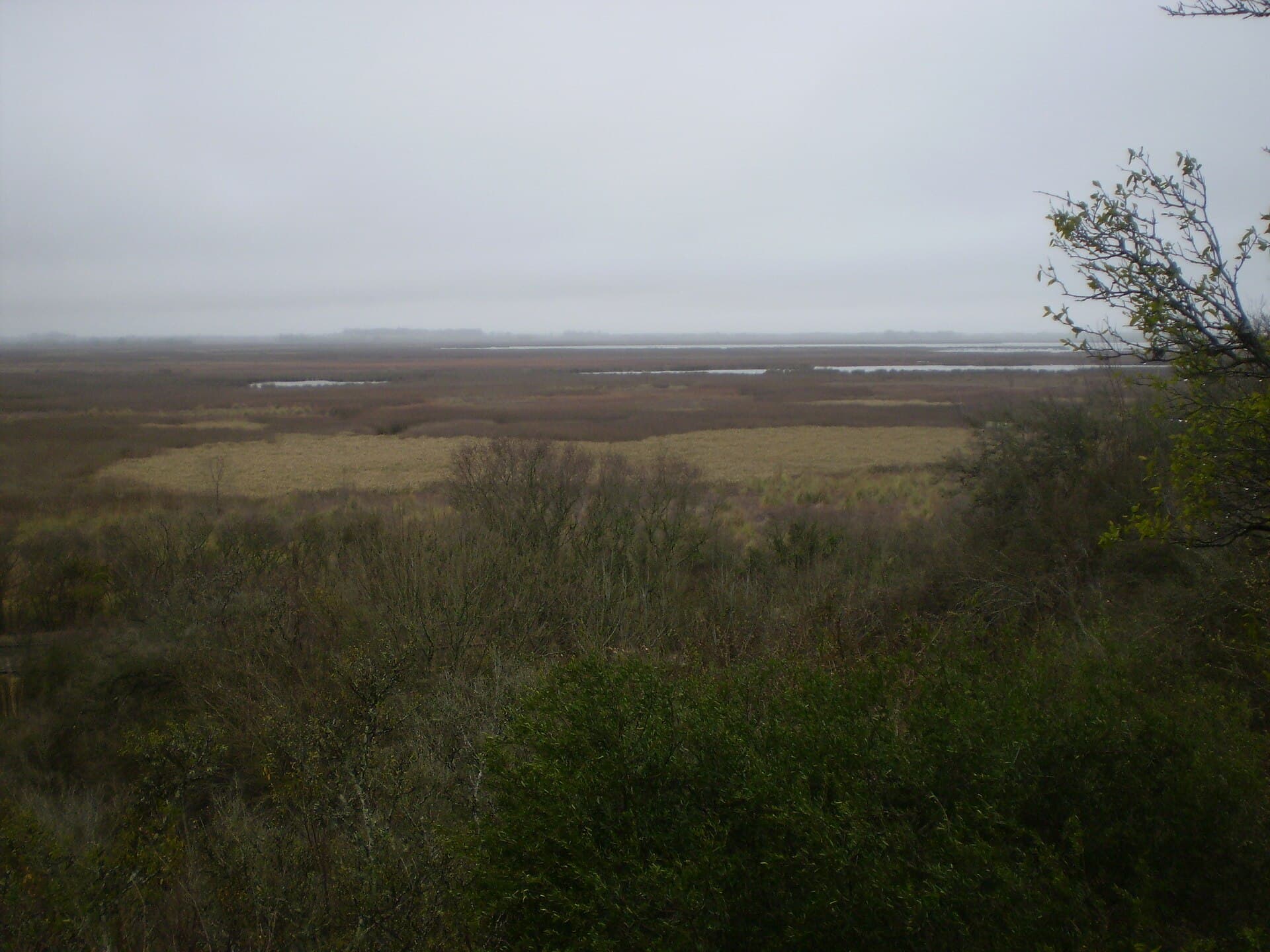 Ciervo de los Pantanos National Park (Otamendi), Buenos Aires