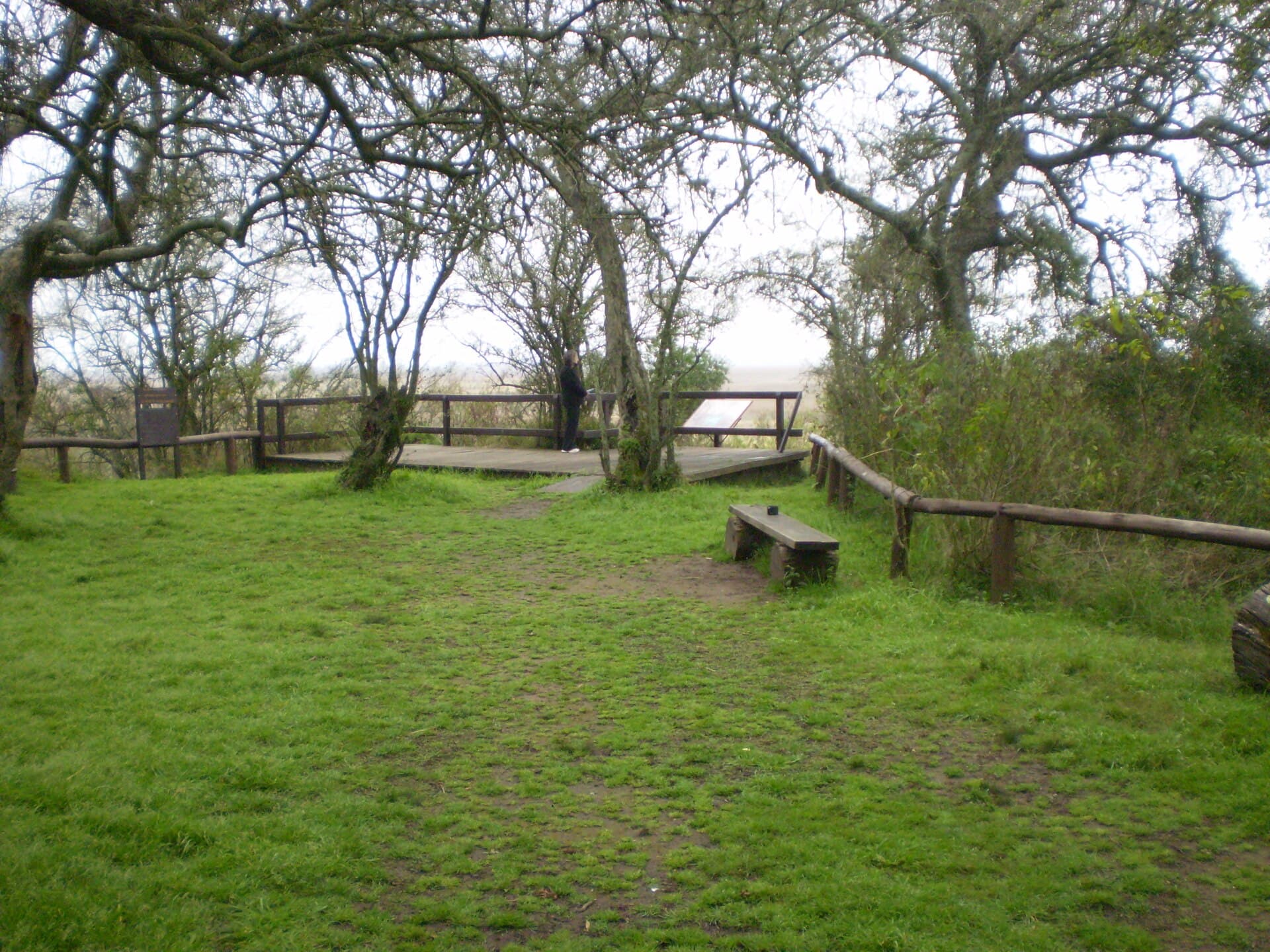 Ciervo de los Pantanos National Park (Otamendi), Buenos Aires