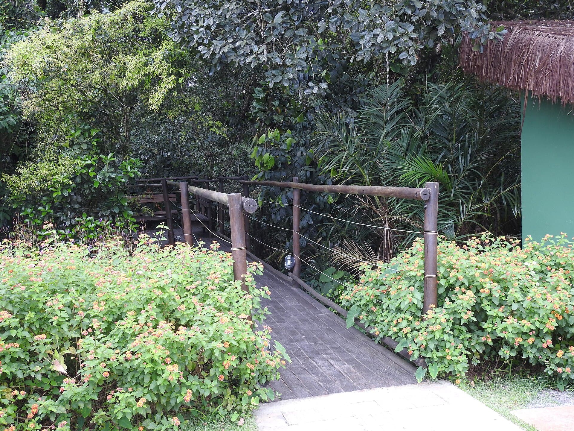 Sesc Bertioga Nature Reserve, Bertioga