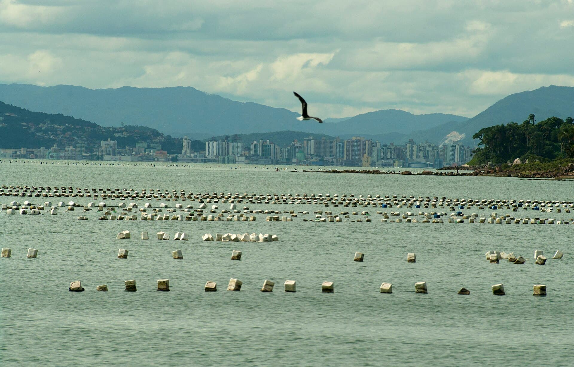Ribeirão da Ilha, Florianópolis