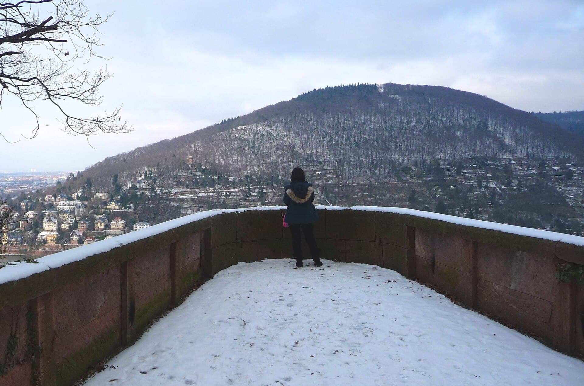 The Riesenstein, Heidelberg