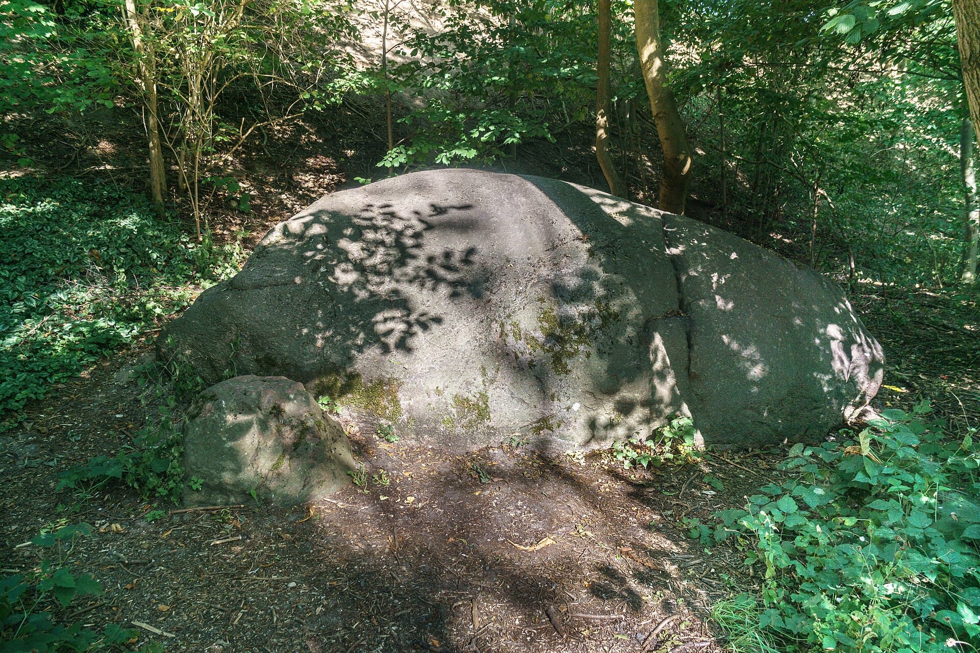 The Riesenstein, Heidelberg