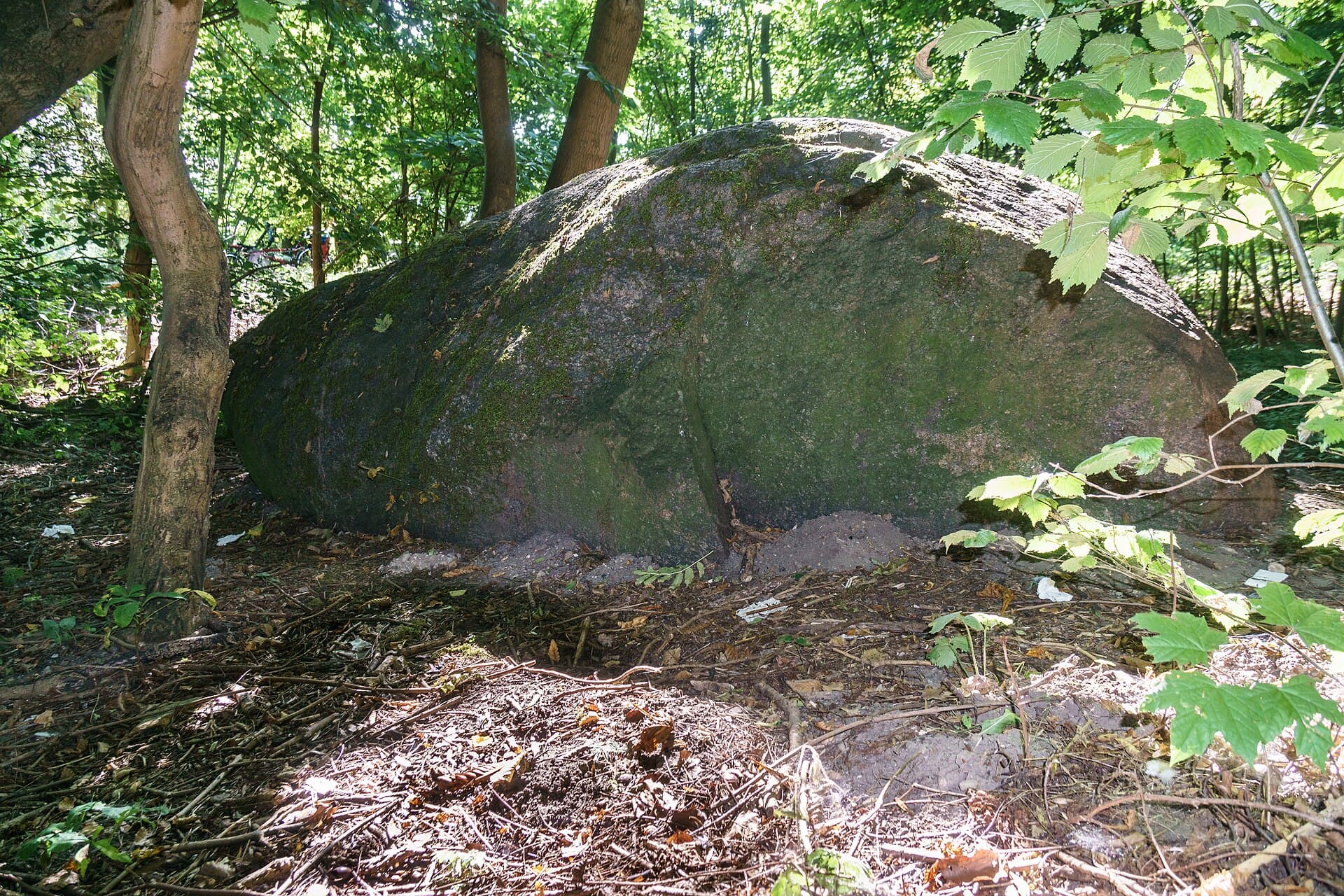 The Riesenstein, Heidelberg