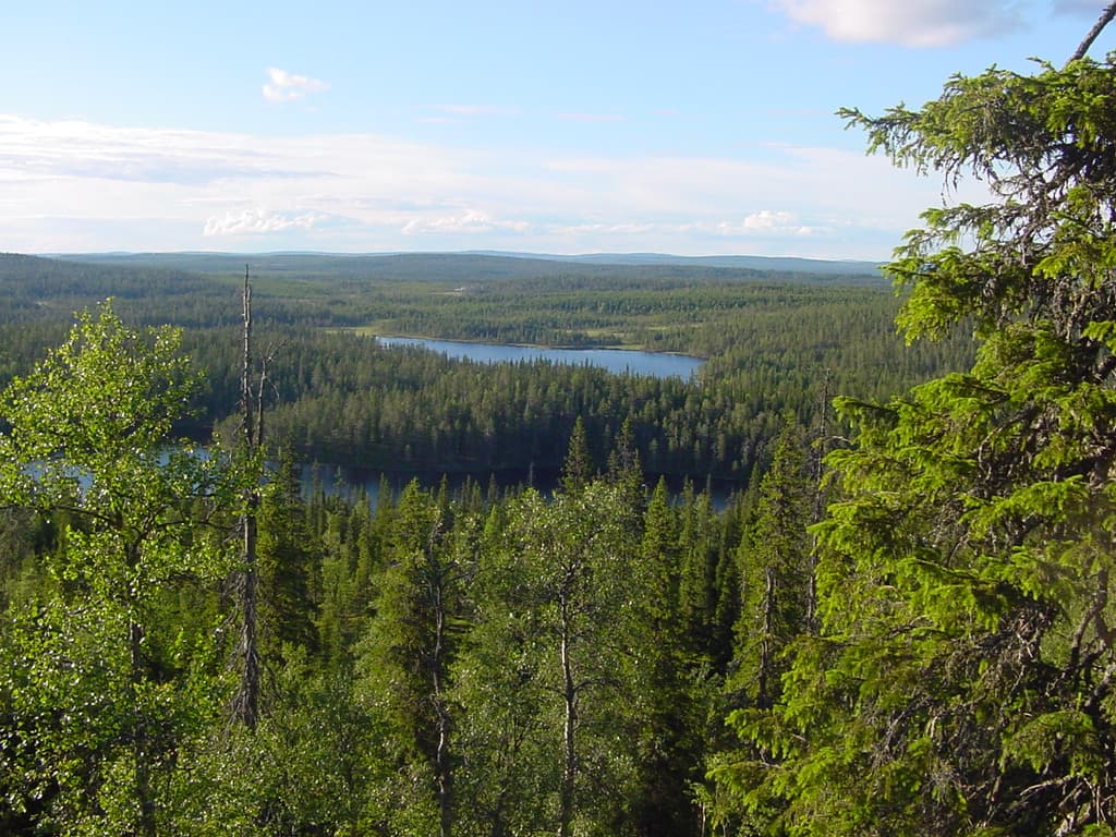 Riisitunturi National Park, Posio