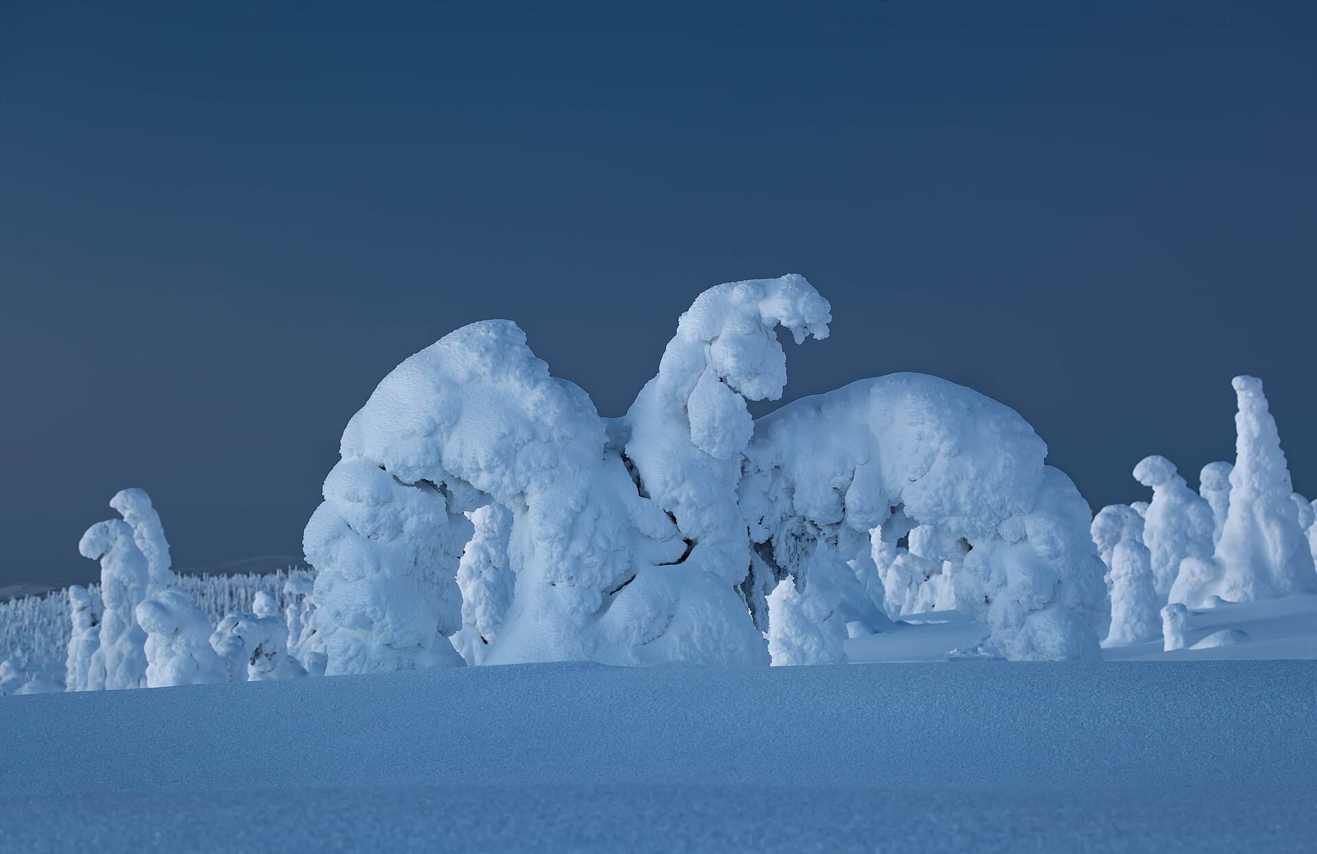 Riisitunturi National Park, Posio