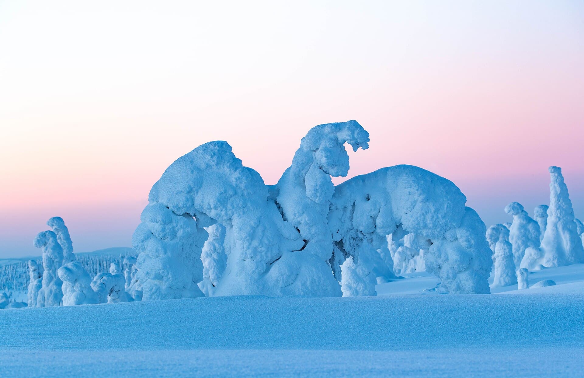 Riisitunturi National Park, Posio
