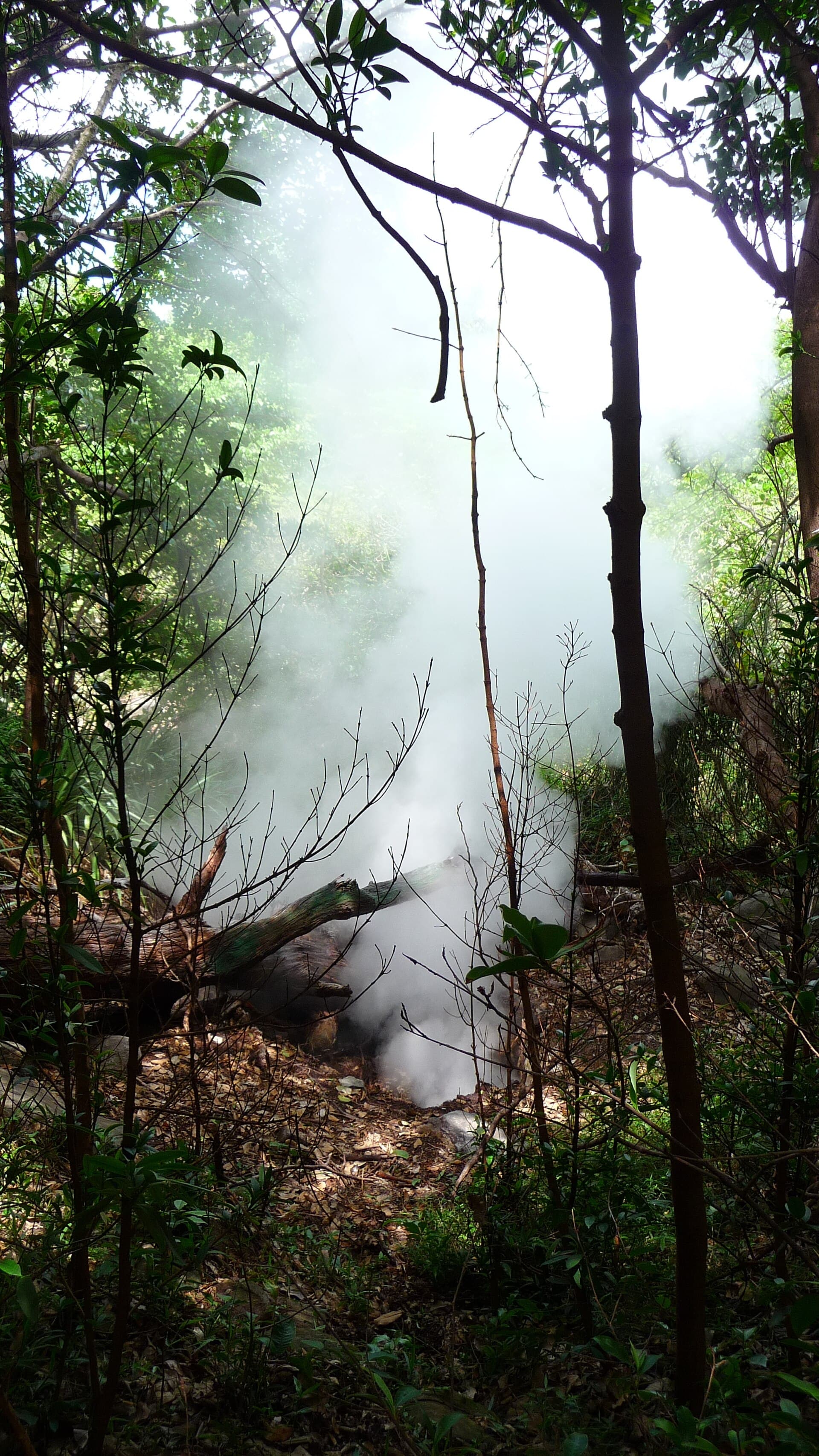 Rincón de la Vieja volcanic park