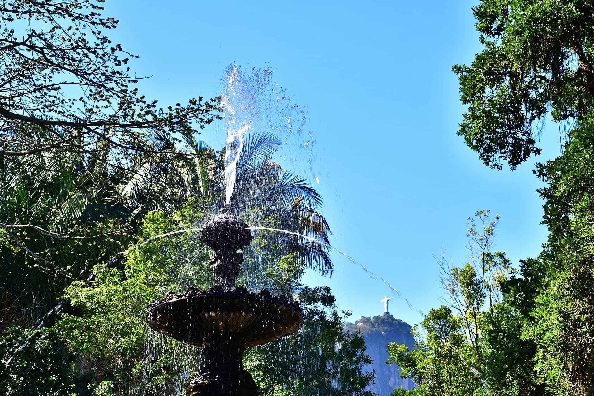 Rio de Janeiro Botanical Garden, Rio de Janeiro