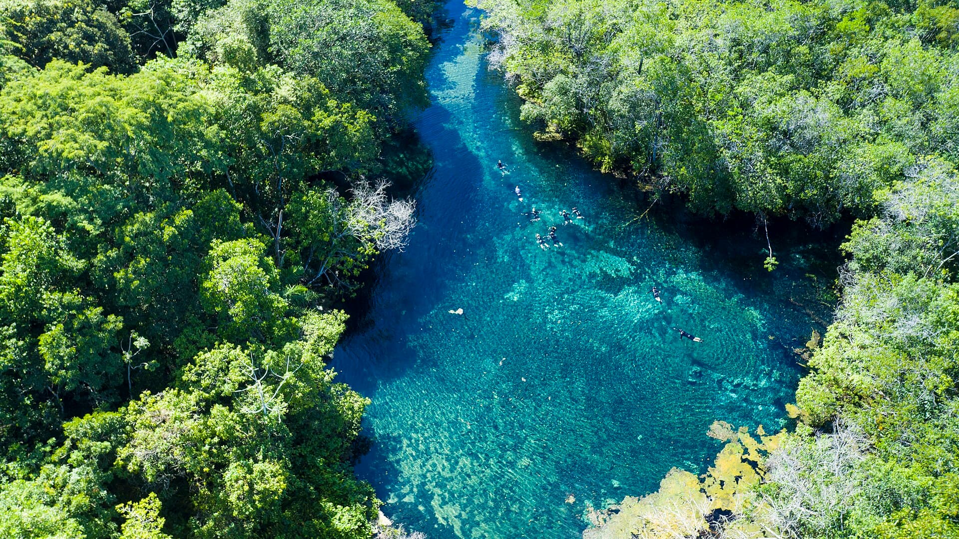Rio da Prata Snorkel Float, Bonito