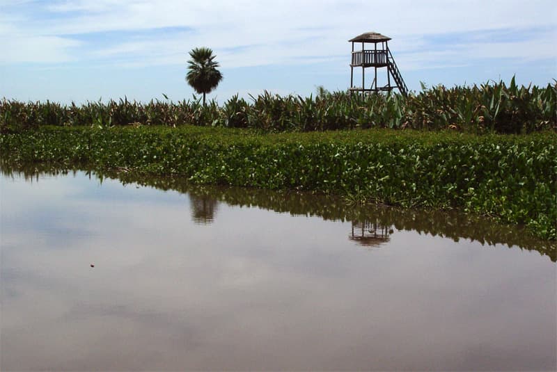 Río Pilcomayo National Park (Laguna Blanca), Formosa