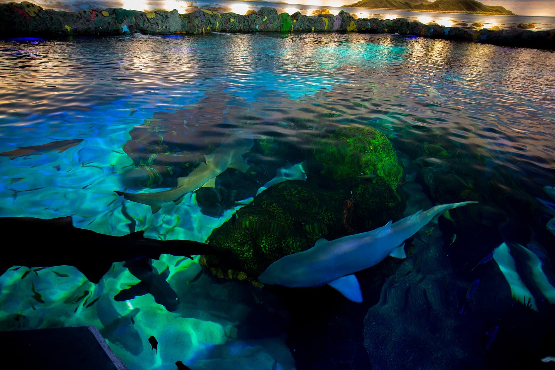 Ripley's Aquarium of Canada