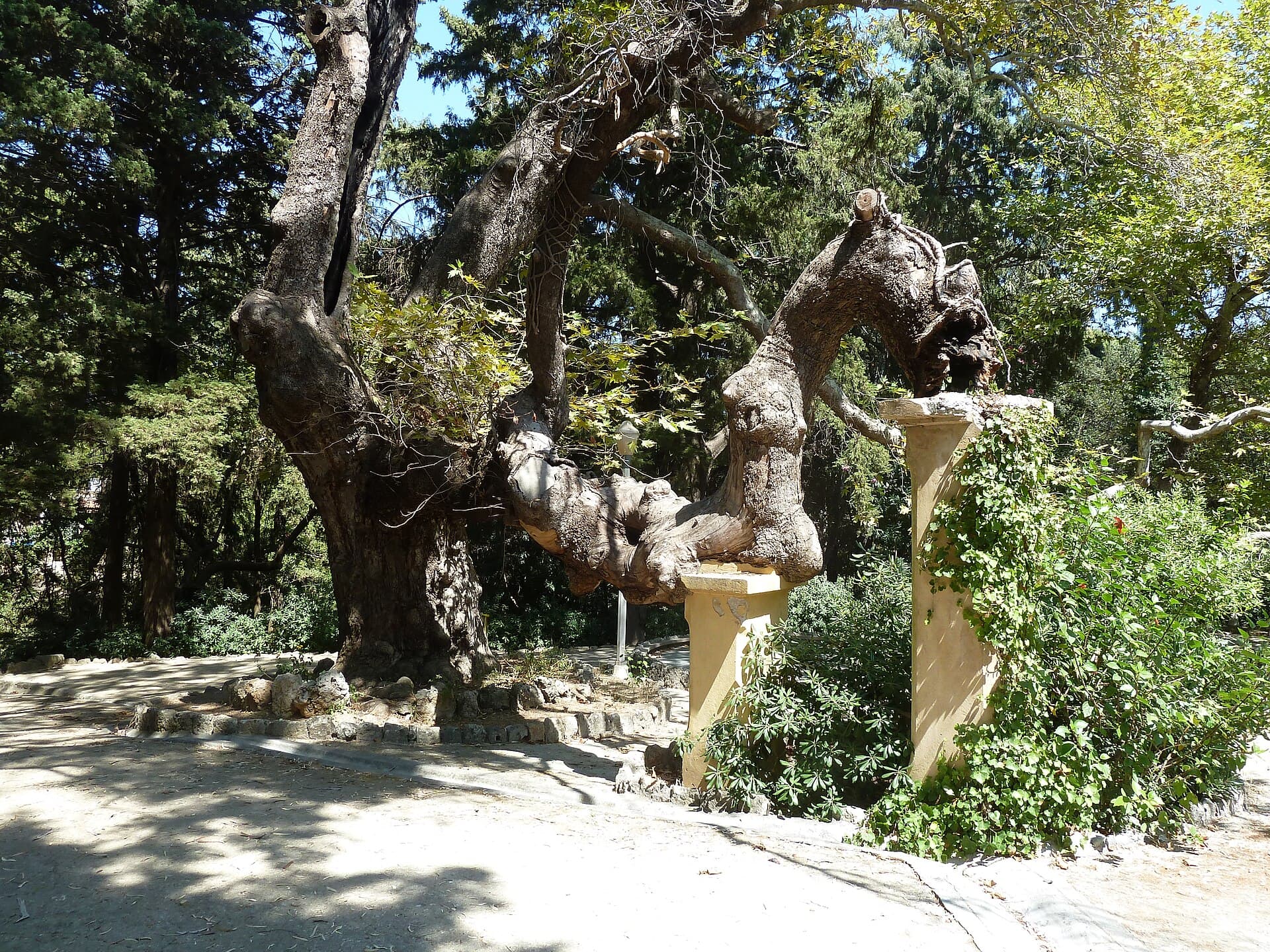Rodini Park, Rhodes