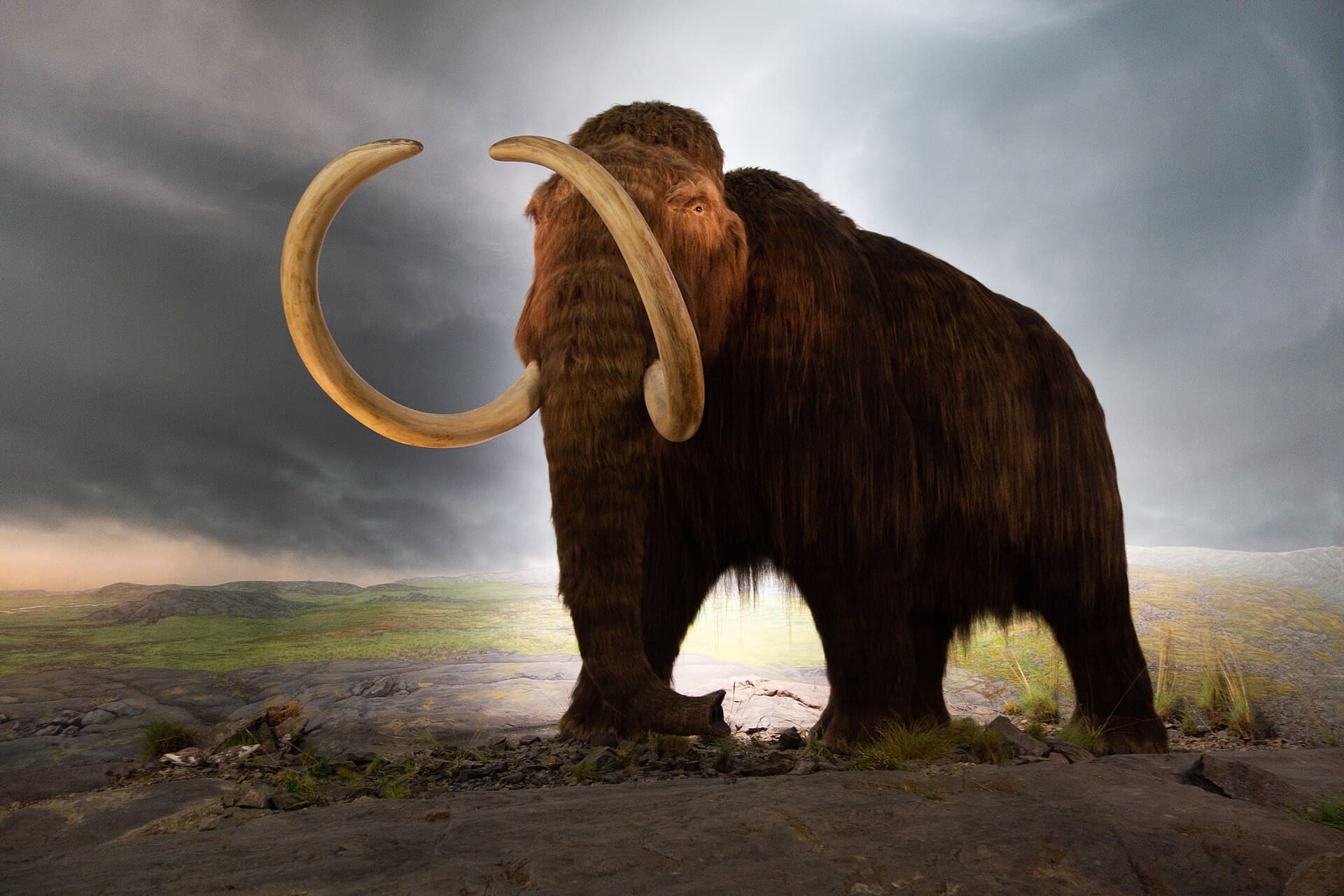 Royal BC Museum