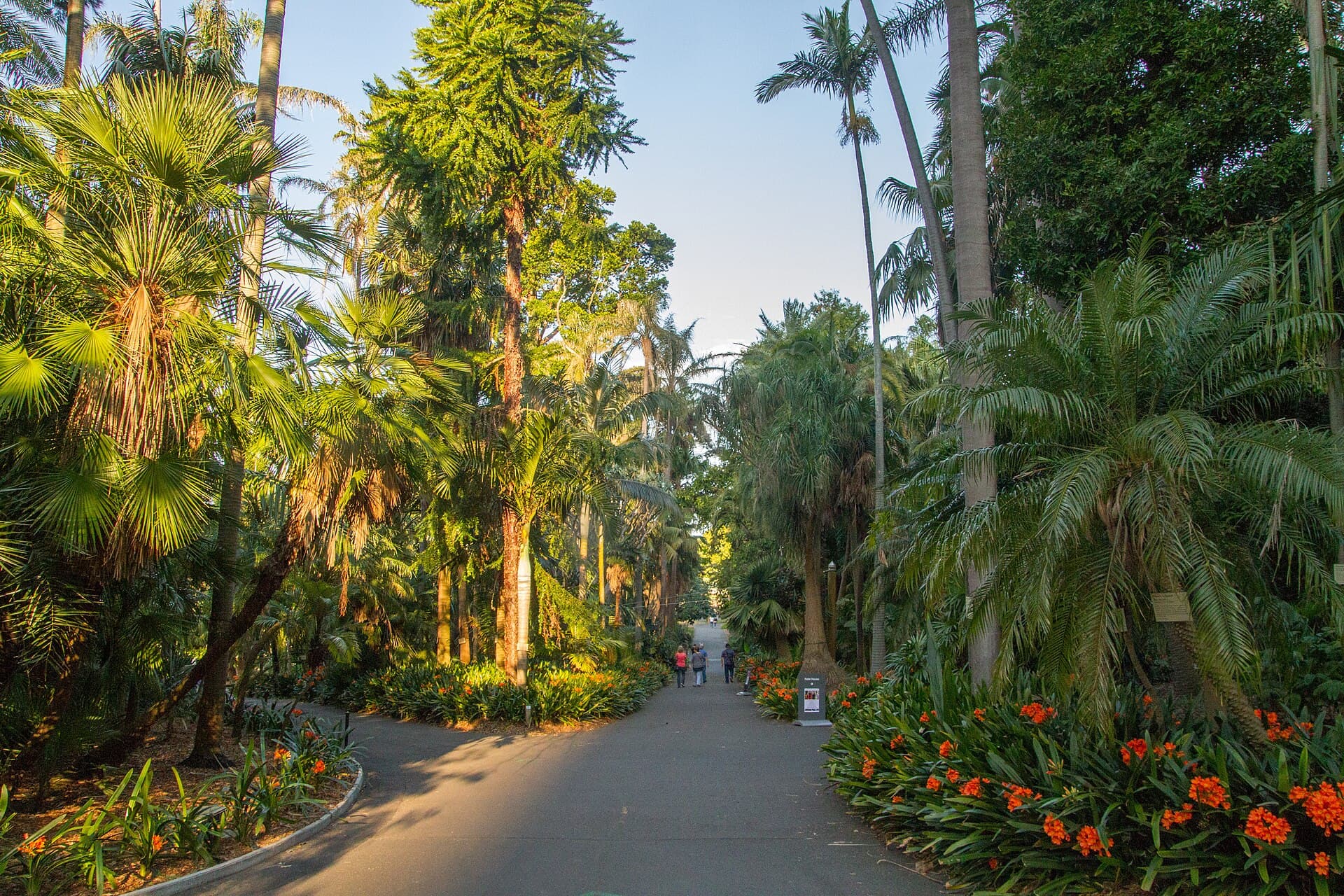 Royal Botanic Garden, Sydney