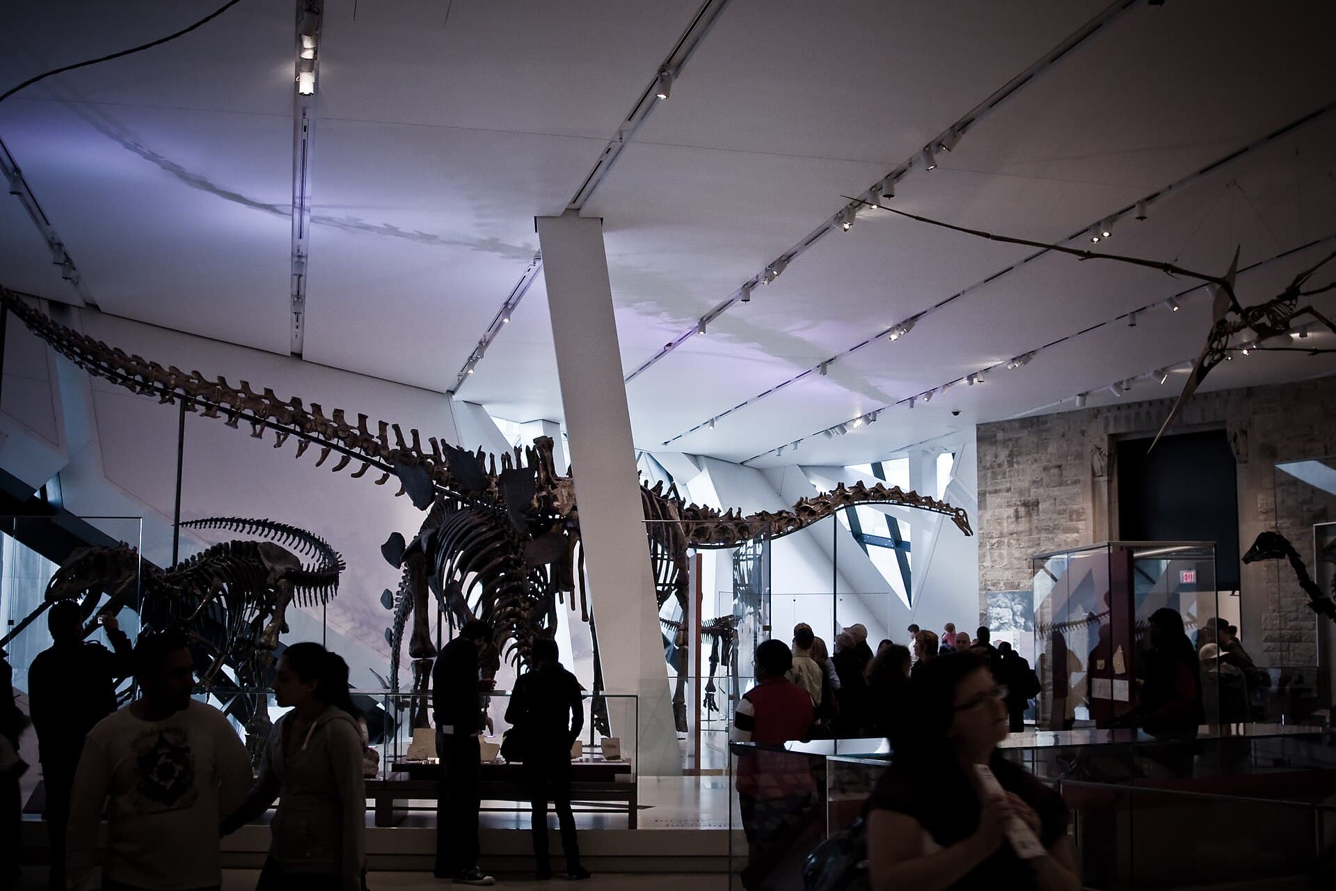 Royal Ontario Museum