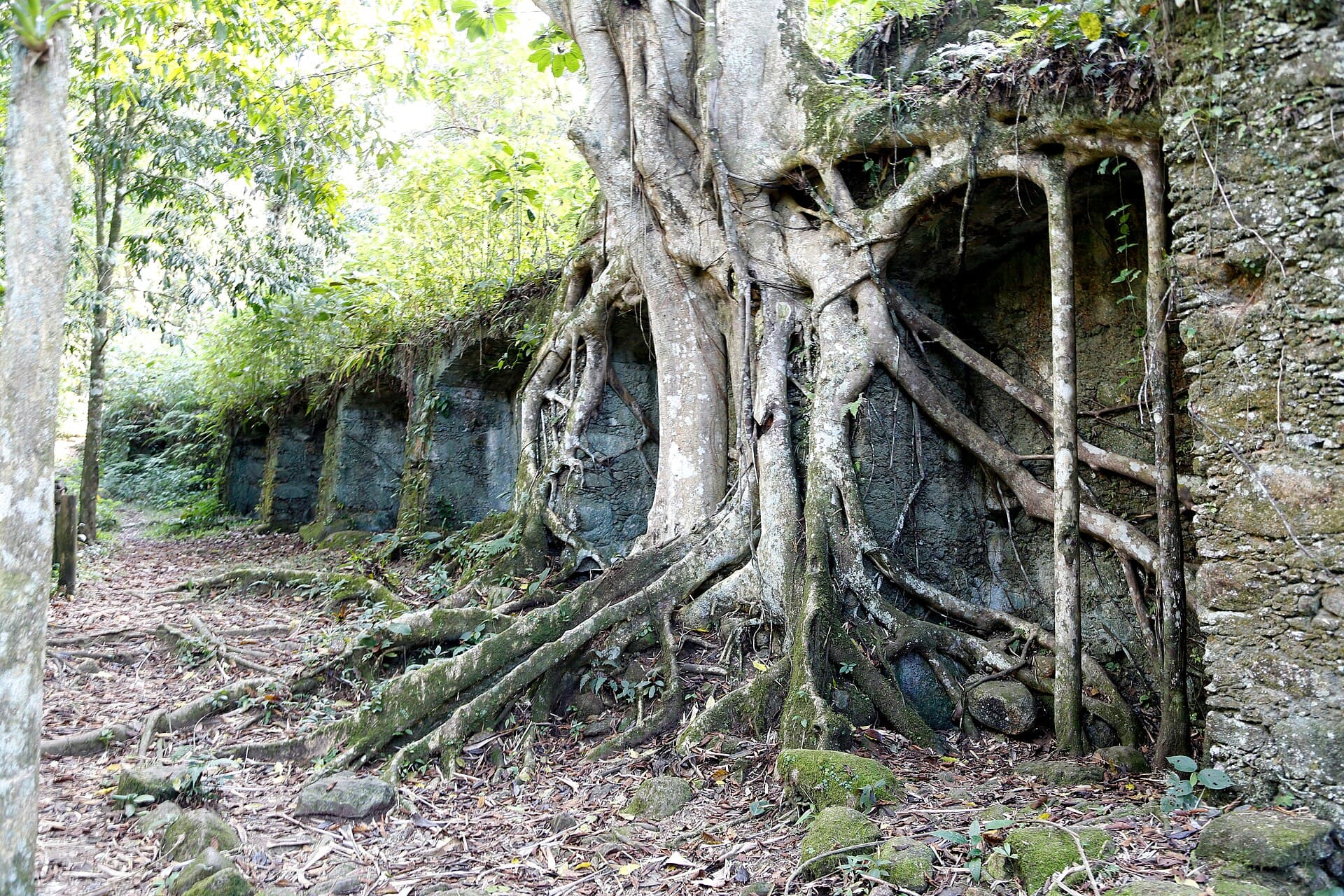 Ruínas da Lagoinha, Ubatuba