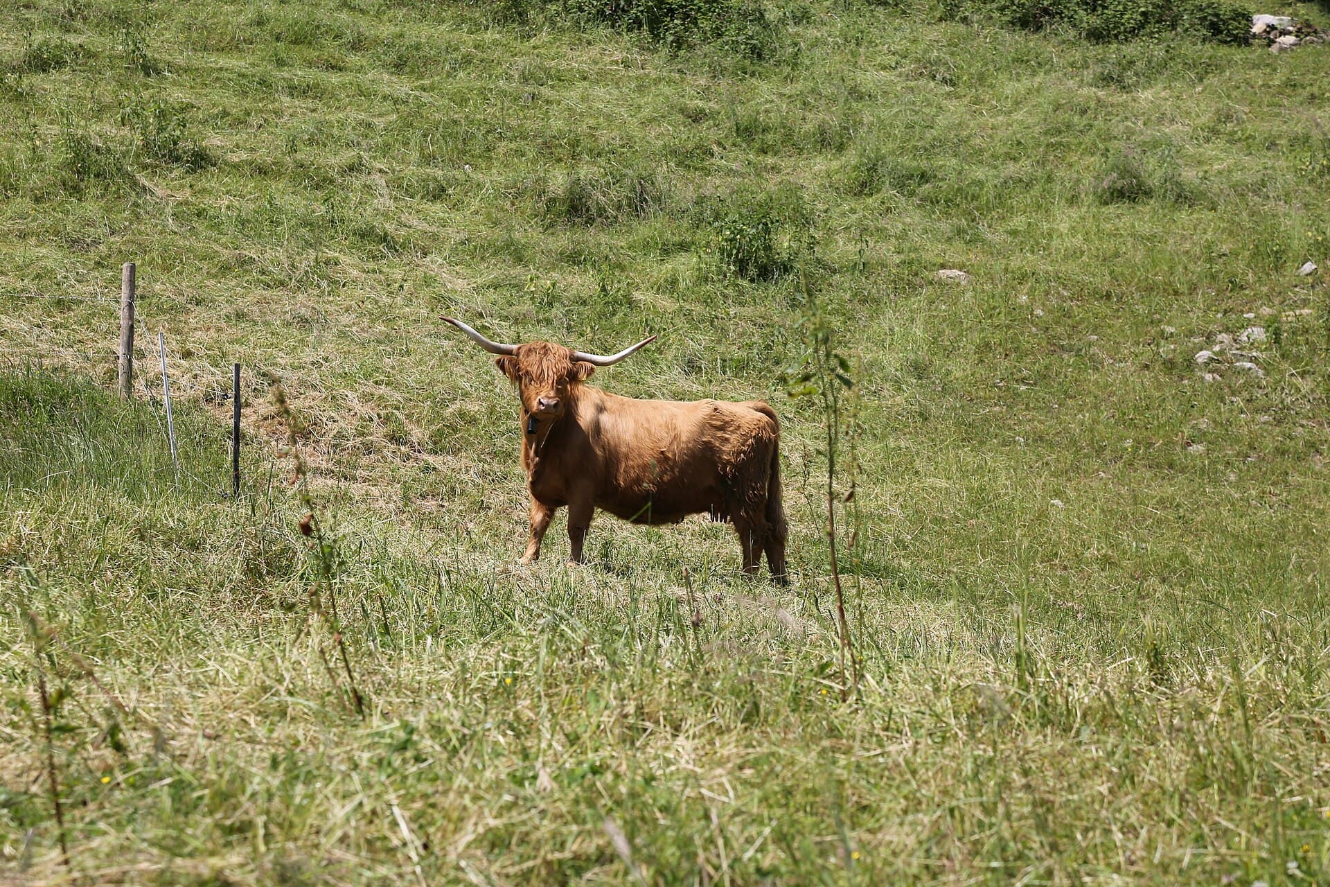Rütli Meadow, Lucerne