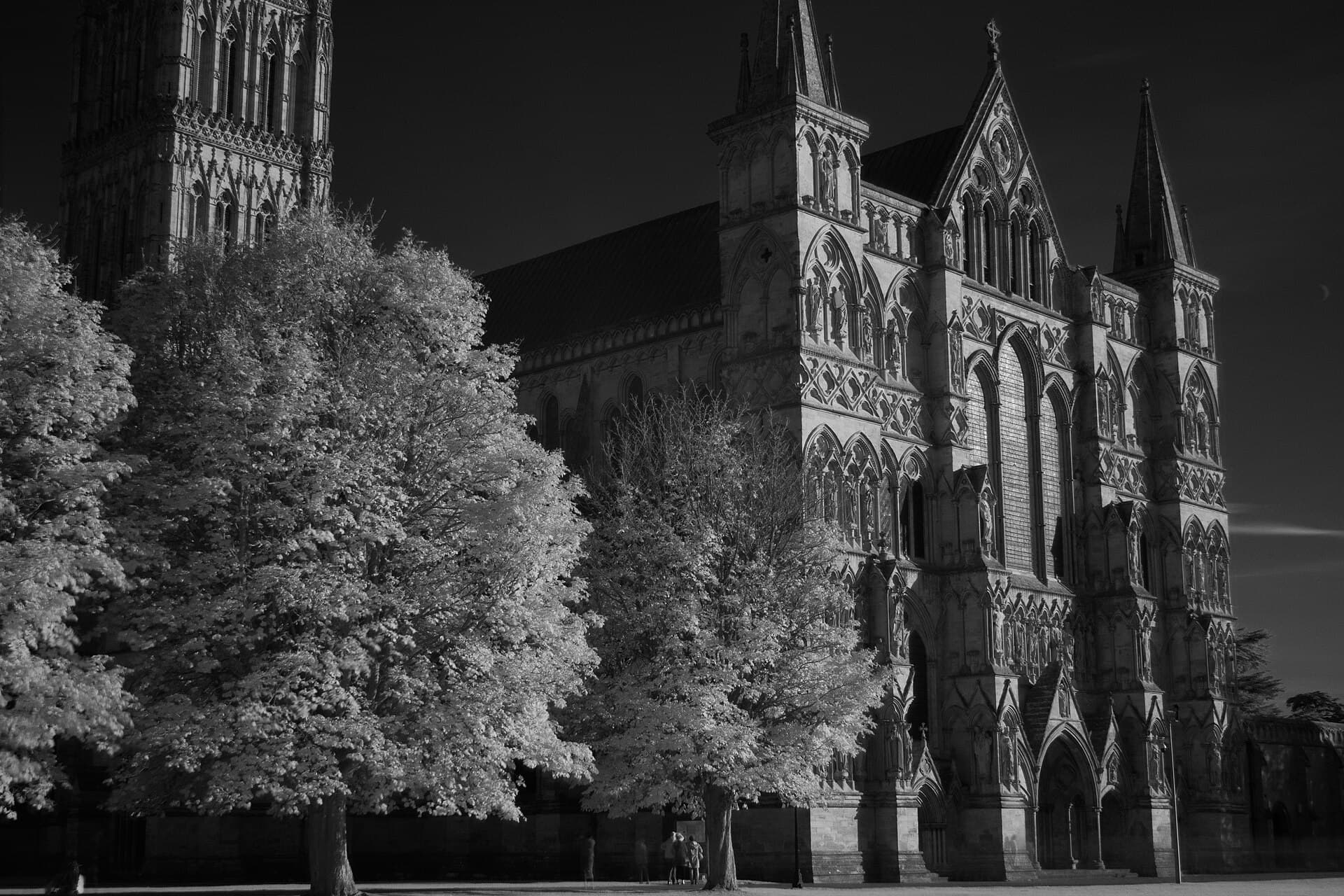 Salisbury Cathedral, Salisbury