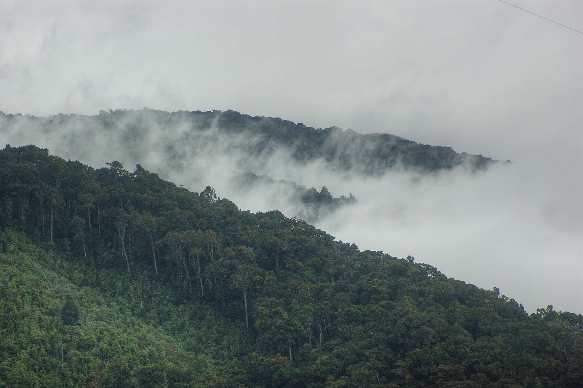 San Gerardo de Dota valley