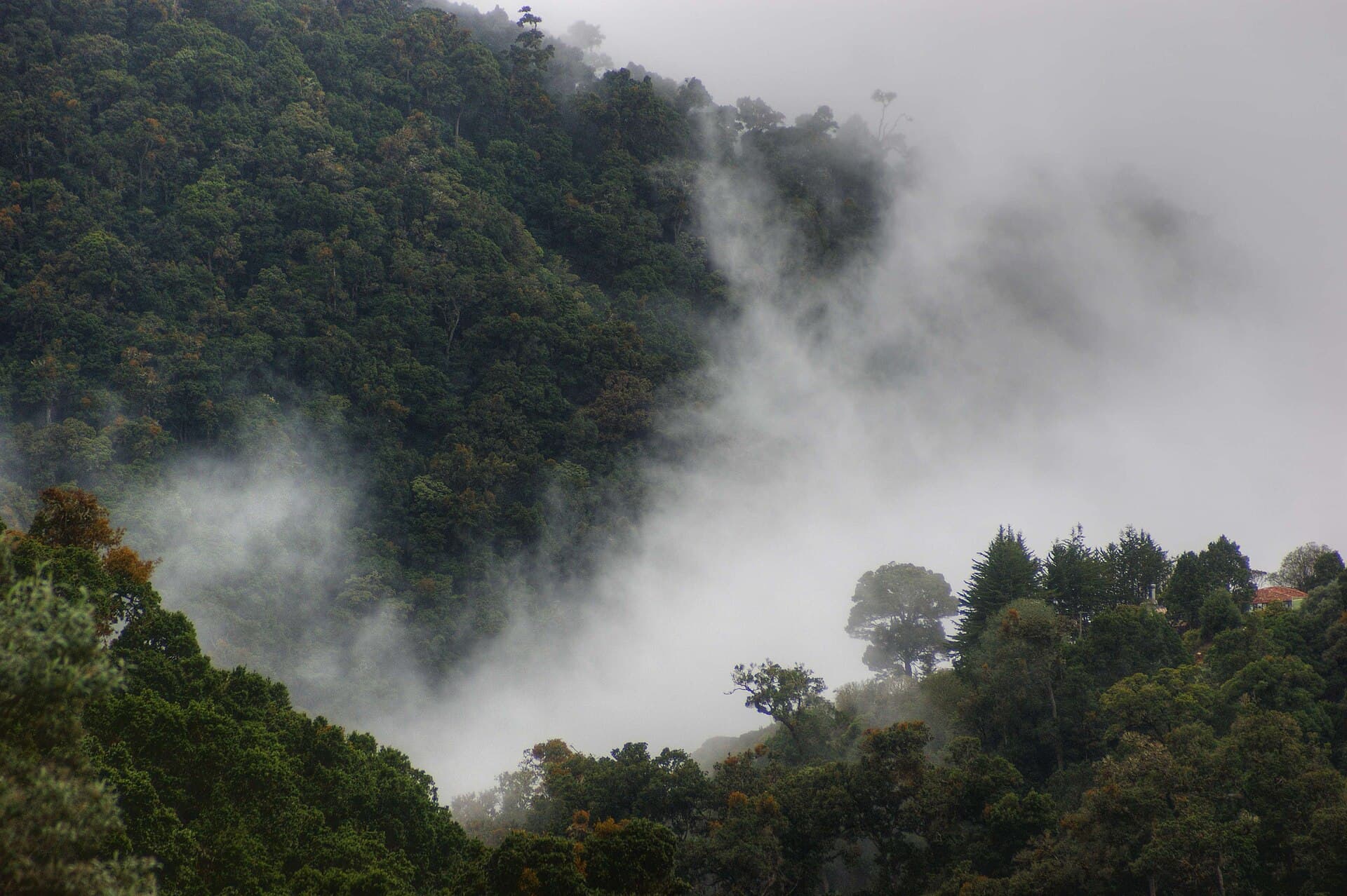 San Gerardo de Dota valley
