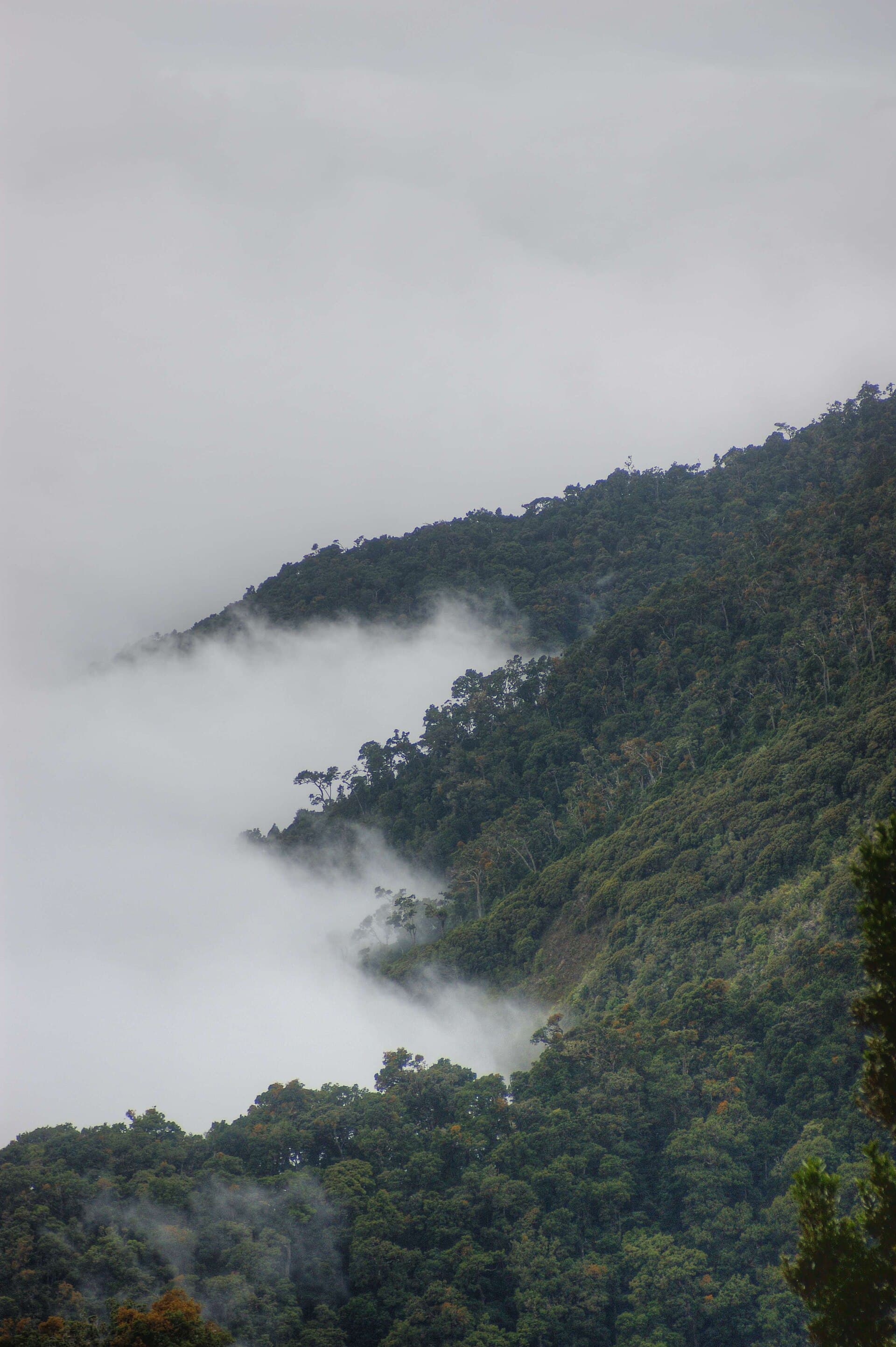 San Gerardo de Dota valley