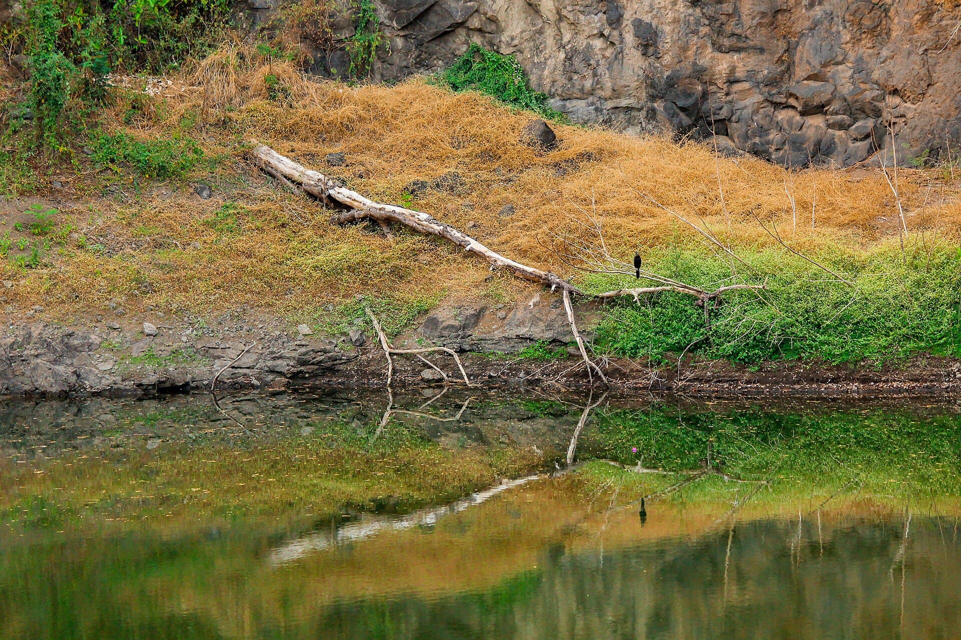 Sanjay Gandhi National Park