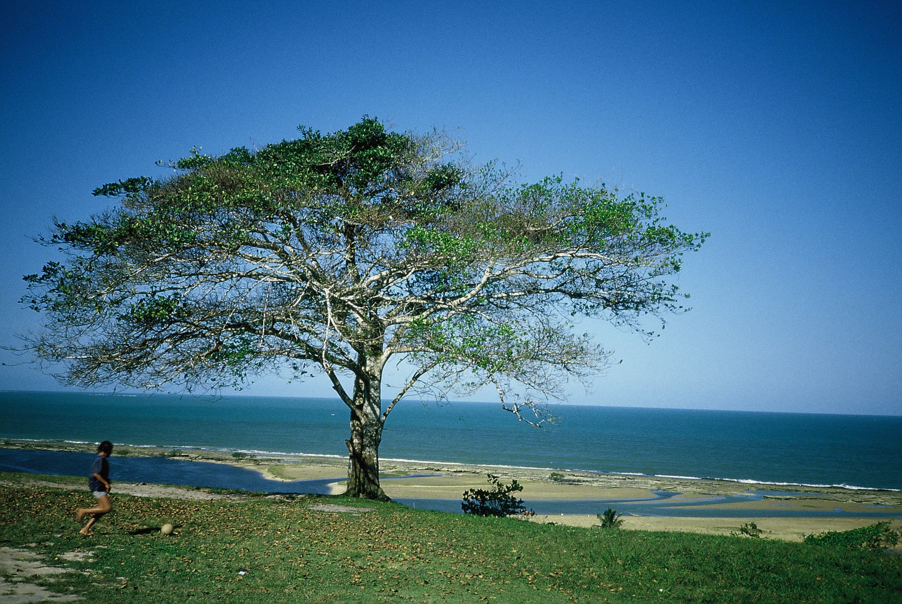 Santa Cruz Cabrália, Santa Cruz Cabrália