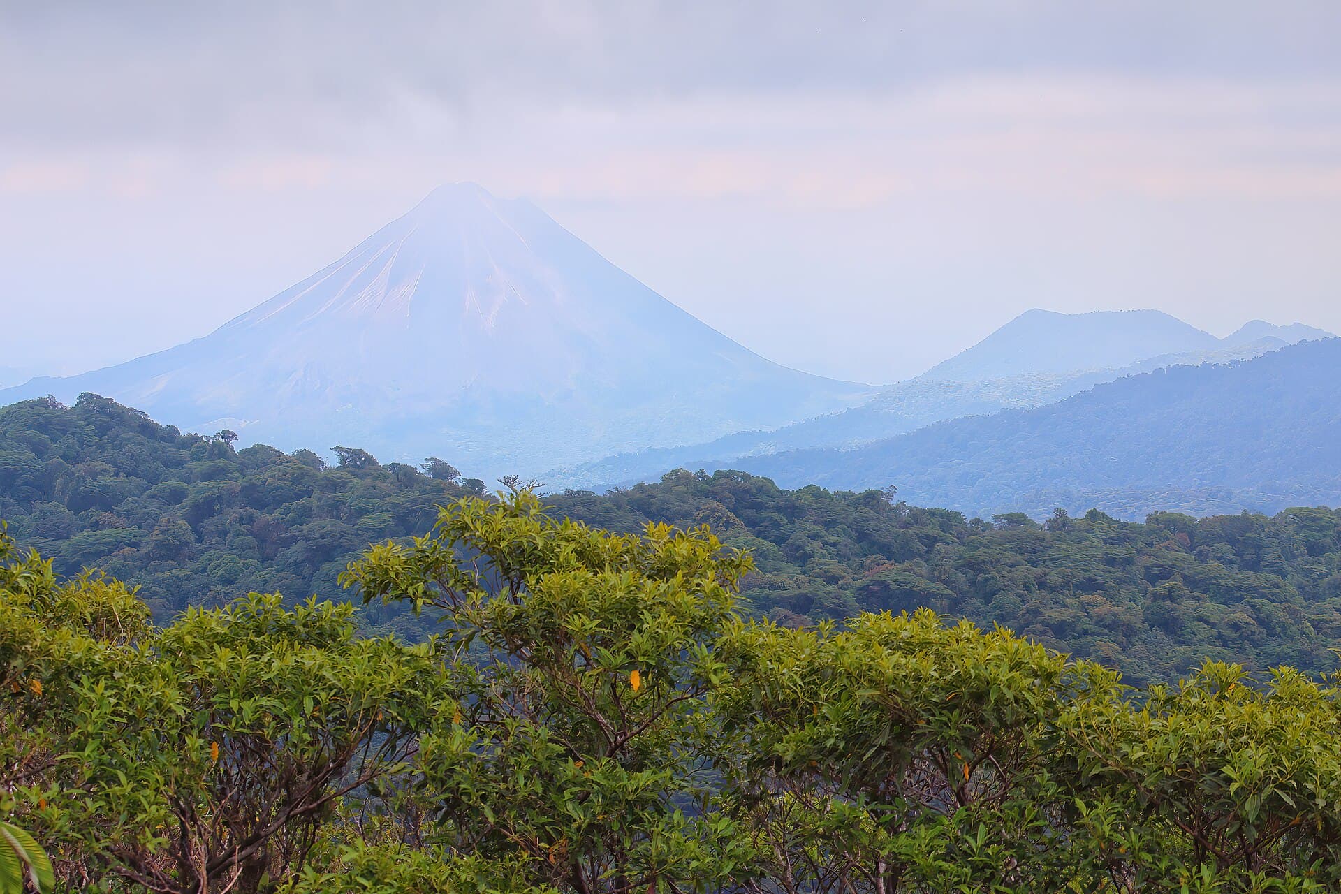 Santa Elena cloud forest reserve