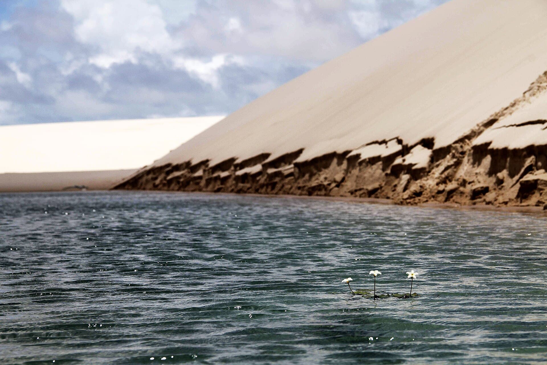 Santo Amaro do Maranhão, Santo Amaro do Maranhão