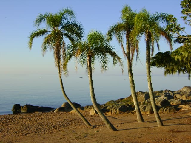São Lourenço do Sul, São Lourenço do Sul