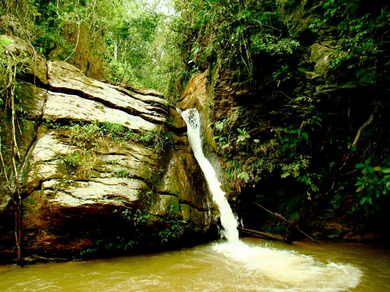 São Roque de Minas, São Roque de Minas