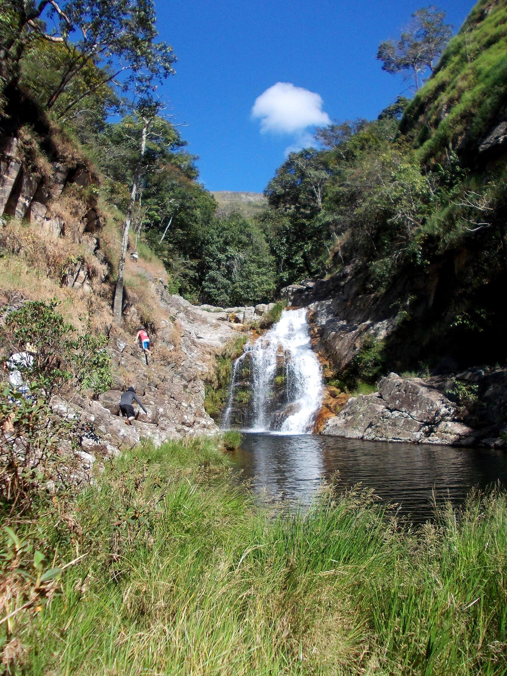 São Roque de Minas, São Roque de Minas