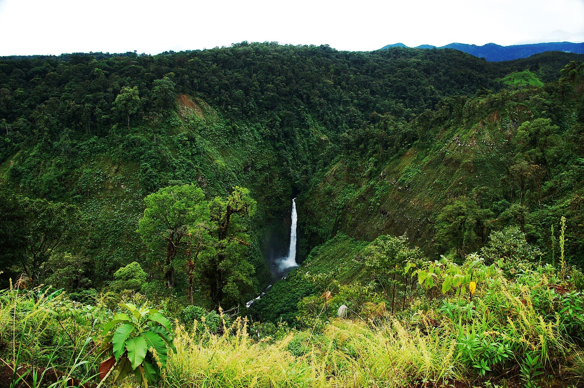 Sarapiquí River