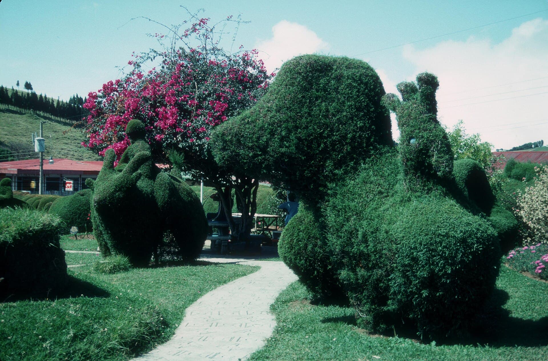 Painted oxcart in Sarchí